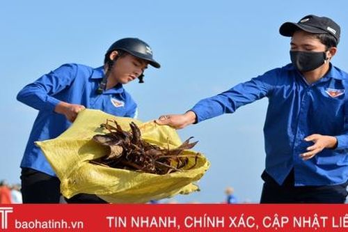 'Ngày chủ nhật xanh' sôi động của tuổi trẻ huyện Kỳ Anh