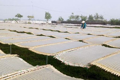 Nhiều giải pháp phát triển tiểu thủ công nghiệp ở Bát Xát