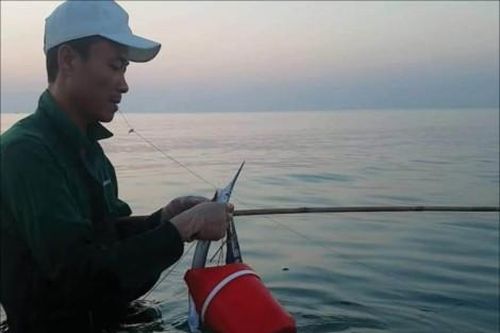 Đời sống Câu cá ven bờ: 'Nghề chơi, ăn thiệt'