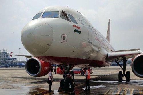 Máy bay Air India bị hoãn trong nhiều giờ vì một đàn ong