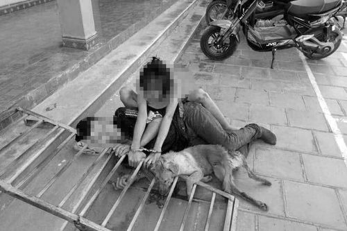 Phá đường dây trộm hơn 100 tấn chó do 3 thanh niên Thanh Hóa cầm đầu