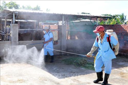 Bệnh nhân tử vong do sốt xuất huyết đầu tiên tại Đắk Nông