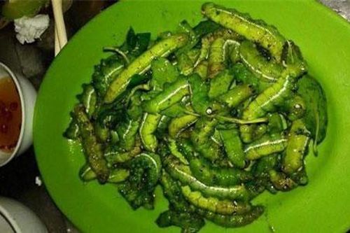 Kinh dị những món ăn đặc sản làm từ sâu ở Việt Nam