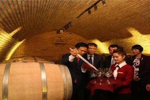 Khám phá hầm rượu vang chuẩn Châu Âu ở Đà Lạt