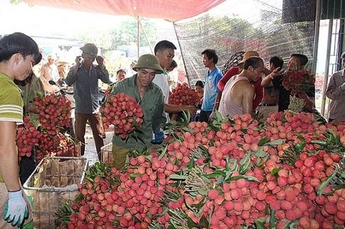 Khai thác hiệu quả chỉ dẫn địa lý