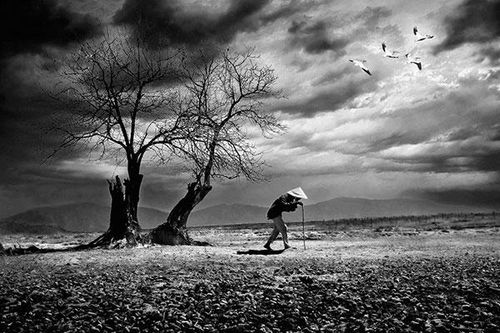 Nguyễn Đình Quốc Văn: Chàng 'lực sĩ' trong làng nhiếp ảnh Đồng Nai