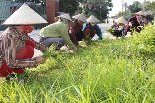 'Ngày hội vì cộng đồng xây dựng nông thôn mới kiểu mẫu' tại xã Ninh Hòa