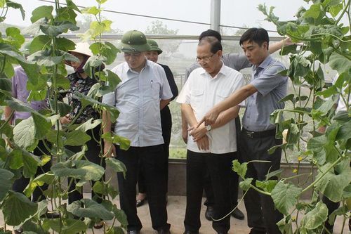 Phó Bí thư Thường trực Tỉnh ủy Hoàng Công Thủy làm việc tại huyện Hạ Hòa