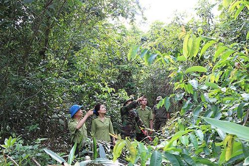 Bảo tồn đa dạng sinh học rừng đặc dụng Tà Xùa