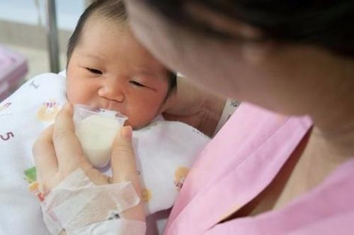 Sữa non 24h chứa thành phần miễn dịch gấp 100 lần sữa trưởng thành