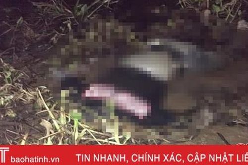 Phát hiện nam thanh niên chết trong rừng đước ở xã Thạch Môn