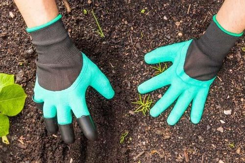 Bộ Y tế đưa ra những khuyến cáo về phòng, chống bệnh whitmore
