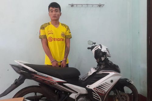 Bắt tạm giam 2 đối tượng thực hiện 7 vụ trộm cắp tài sản