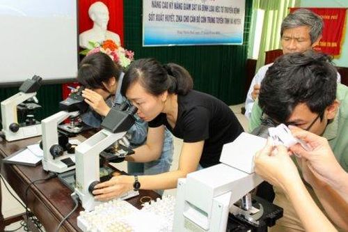 Y tế - Sức khỏe Tin tức y tế Tập huấn kỹ năng giám sát và định loại véc tơ truyền bệnh sốt xuất huyết
