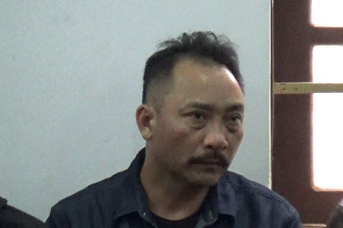 'Trùm' gỗ lậu Phượng 'râu' bị đưa ra xét xử