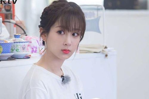 Dương Tử - từ sao nhí kém tên tuổi đến tiểu hoa đán tai tiếng