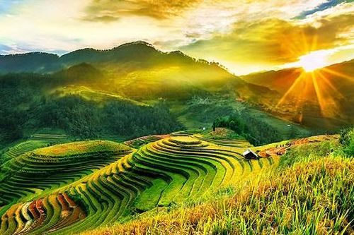 Ngắm toàn cảnh trên cao của mùa vàng Mù Cang Chải