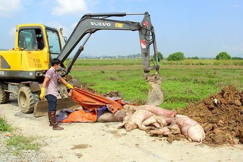 Cuối tuần, Bắc Bộ có đợt không khí lạnh