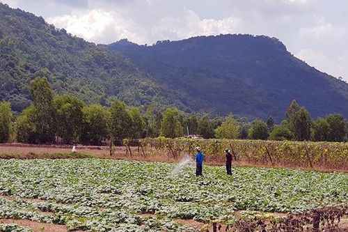 Hiệu quả từ các hồ thủy lợi ở An Giang
