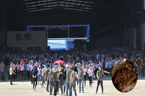 Tổng giám đốc xin lỗi hơn 1.000 công nhân vì thức ăn dòi bò lúc nhúc