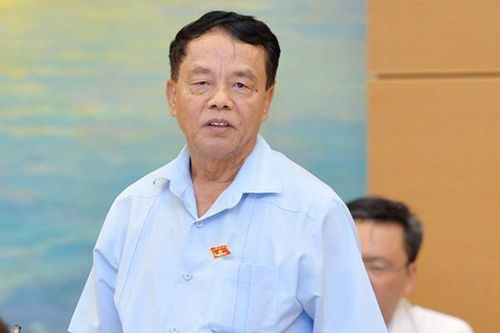 'Nói là rừng vàng nhưng lên chỉ thấy đại ca, ít đại gia'