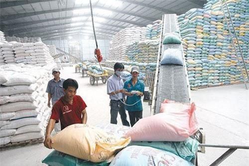 Xuất khẩu gạo 8 tháng đạt 2 tỷ USD, giảm gần 15% về giá trị
