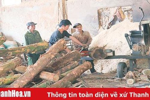Toàn tỉnh có 4.885 lao động hoạt động trong ngành công nghiệp chế biến lâm sản
