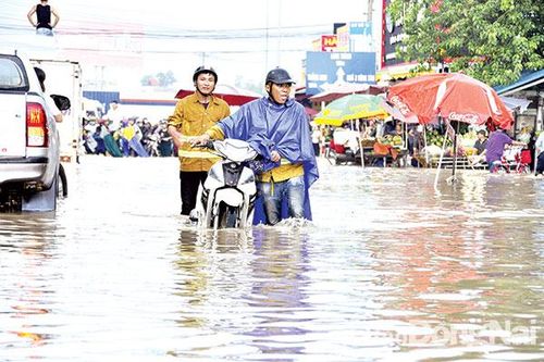 Chủ động ứng phó trước thời tiết diễn biến phức tạp