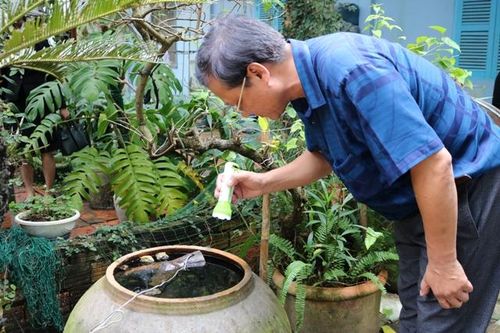 Giám sát thực địa về phòng, chống bệnh sốt xuất huyết