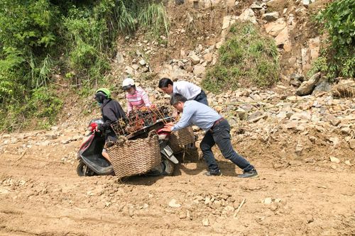 Tỉnh lộ 9: Nhiều điểm bị sạt lở
