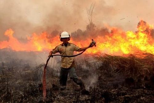Thế giới Thế giới Indonesia 'làm mọi thứ' để dập tắt cháy rừng
