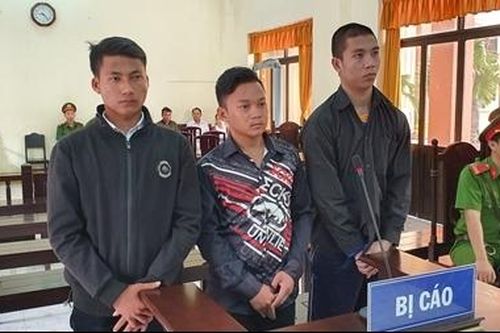 Bị trái xoài rơi trúng chân, gọi đồng bọn đập xe báo thù
