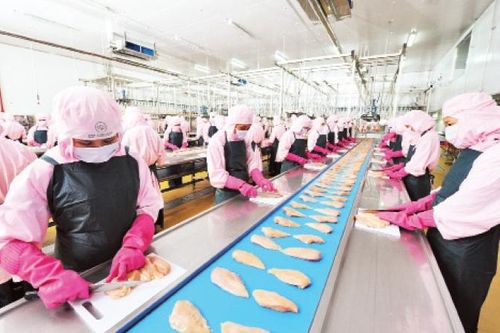 Chủ động nguồn hàng phục vụ nhu cầu tiêu dùng dịp cuối năm