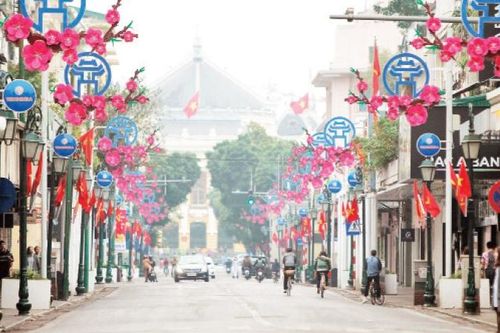 Tản bộ trên phố Tràng Tiền