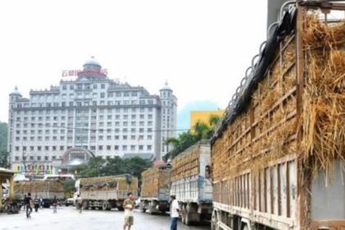 Cần sớm thay đổi 'tư duy tiểu ngạch'