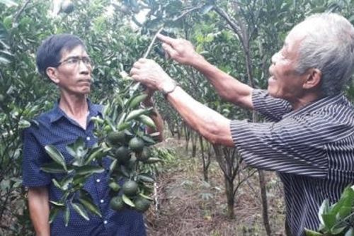 U Minh đẩy mạnh việc triển khai 'mỗi xã một sản phẩm'