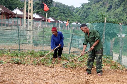 Đồng bào Đan Lai lần đầu tiên biết đào ao thả cá, trồng rau nuôi gà ở quê mới