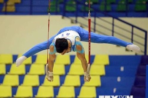 Khởi tranh Giải vô địch Thể dục dụng cụ quốc gia 2019
