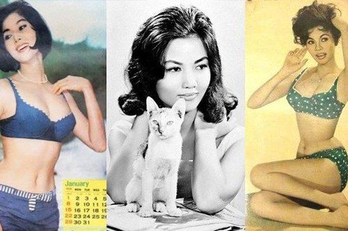 Những mỹ nhân là biểu tượng nhan sắc một thời của làng giải trí Việt