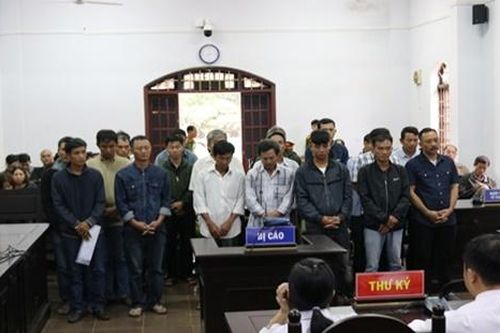 Phượng 'râu' cùng 24 bị cáo trong vụ gỗ lậu lĩnh án