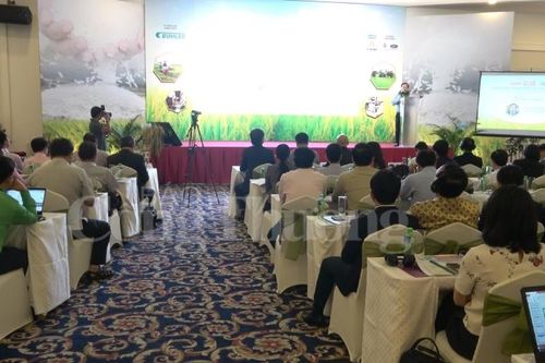 Công nghệ - 'chìa khóa' tăng hiệu quả sản xuất và tiêu thụ lúa gạo