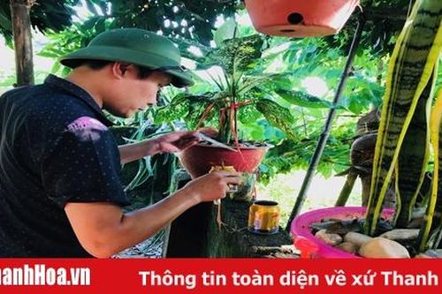 Xuất hiện ổ dịch sốt xuất huyết tại xã Xuân Phú (Thọ Xuân)