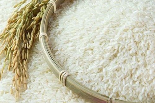 Hội thảo phát triển chuỗi giá trị lúa gạo Việt Nam 2019