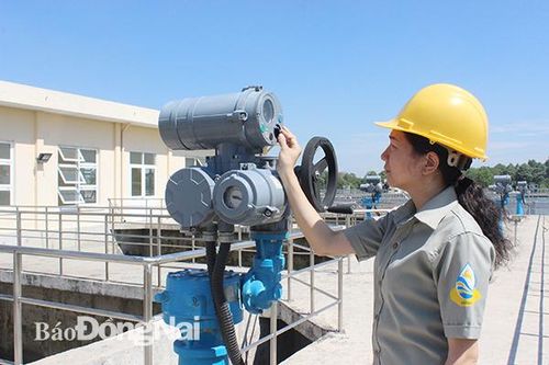 Đồng Nai sẽ truy thu phí môi trường rừng