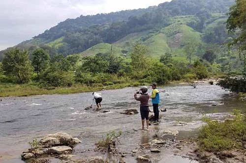 Gia Lai: Phát hiện cây gỗ sưa 'khủng' bị vùi lấp dưới lòng đất