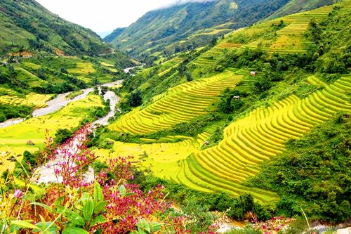 Thăm những cánh đồng ruộng bậc thang đẹp nhất Tây Bắc