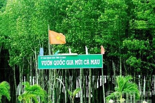 Khởi tố vụ án tham ô tài sản tại Vườn quốc gia Mũi Cà Mau