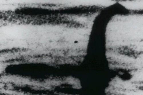 Video chứng minh quái vật hồ Loch Ness có thể là cá chình