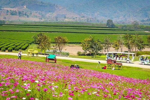 Những nông trại hấp dẫn tại Thái Lan