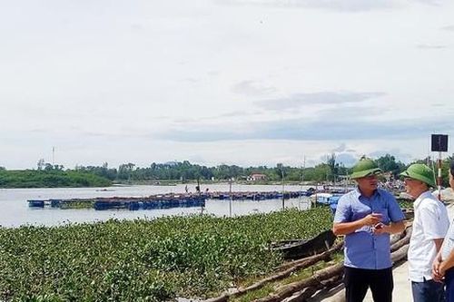 Nguyên nhân khiến gần 100 tấn cá nuôi lồng bè ở Hà Tĩnh chết sau một đêm